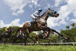 Free Harness Racing Past Performances (PPs) .